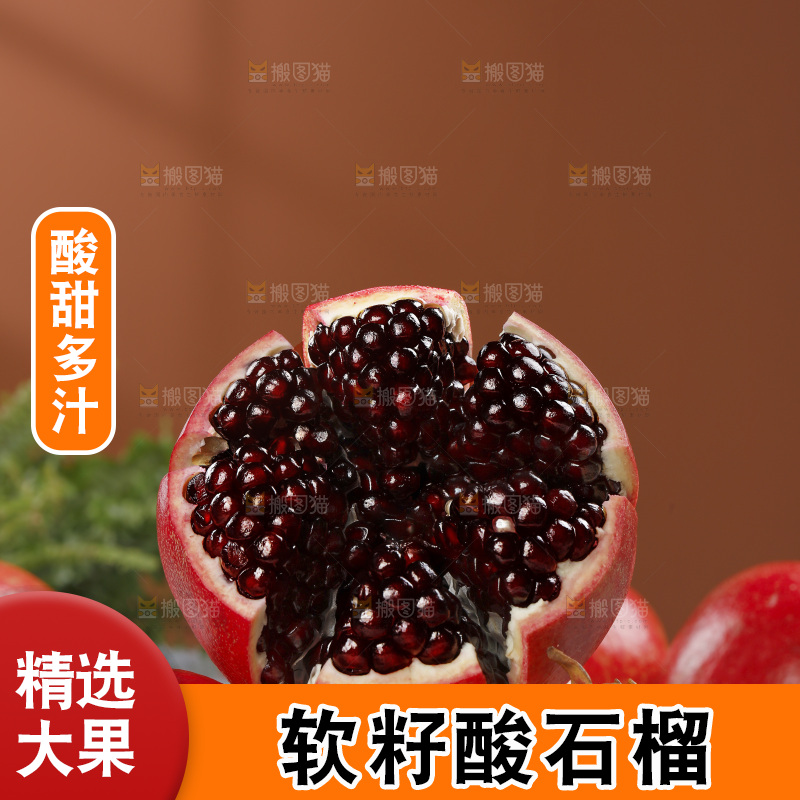 浅底上的黒籽酸石榴