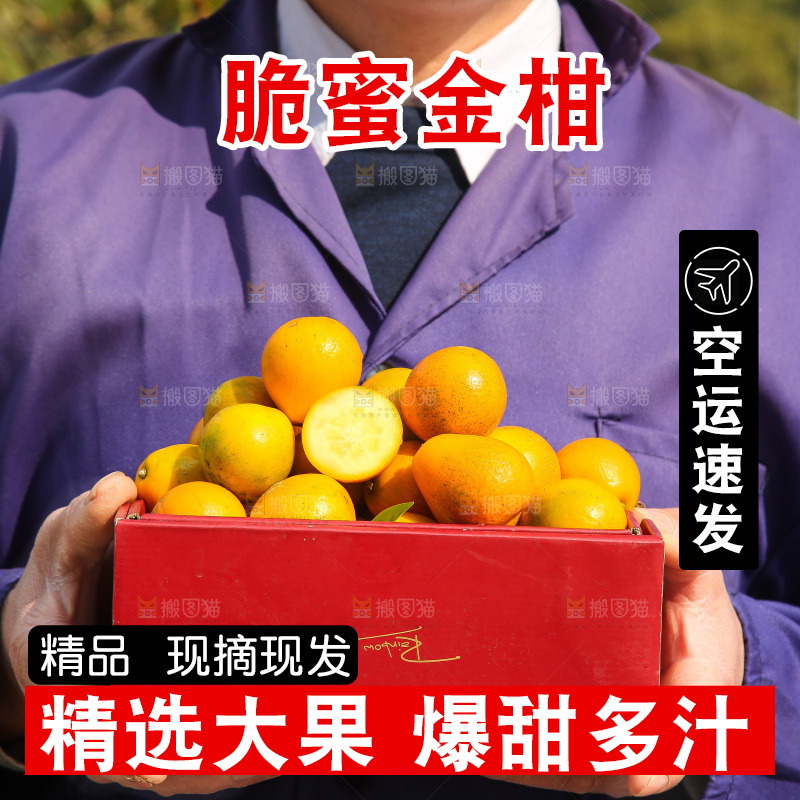 手里拿着脆蜜金柑