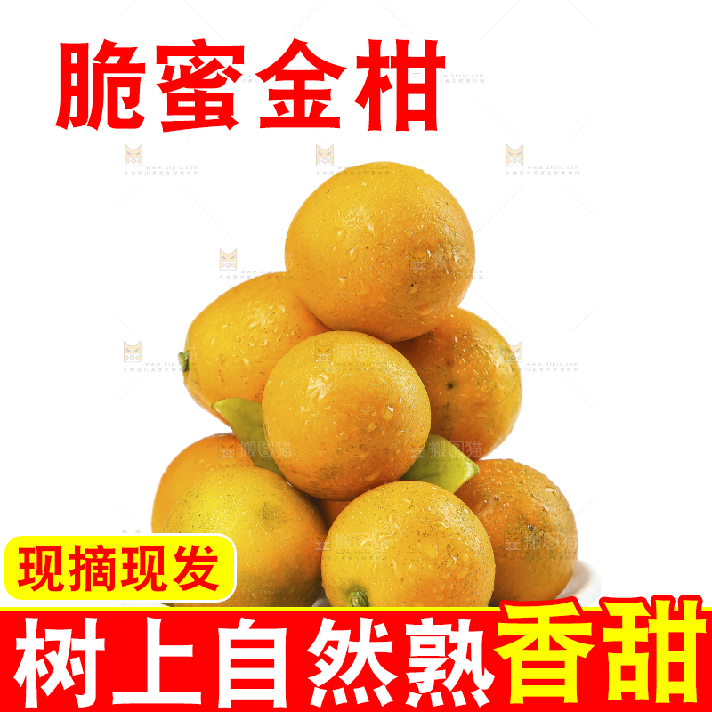 白底上的金柑