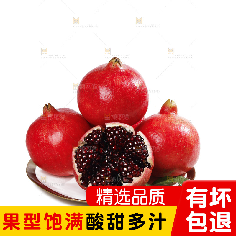 白底上的黒籽酸石榴
