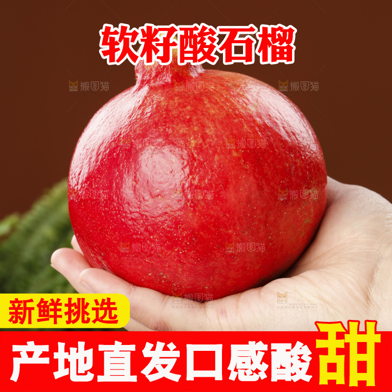 浅底上的黒籽酸石榴