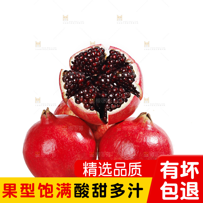 白底上的黒籽酸石榴