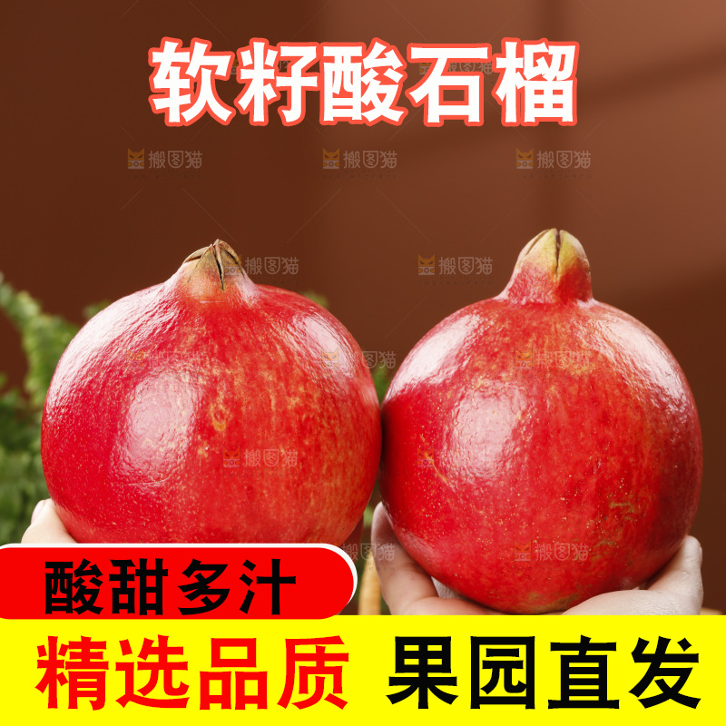 浅底上的黒籽酸石榴