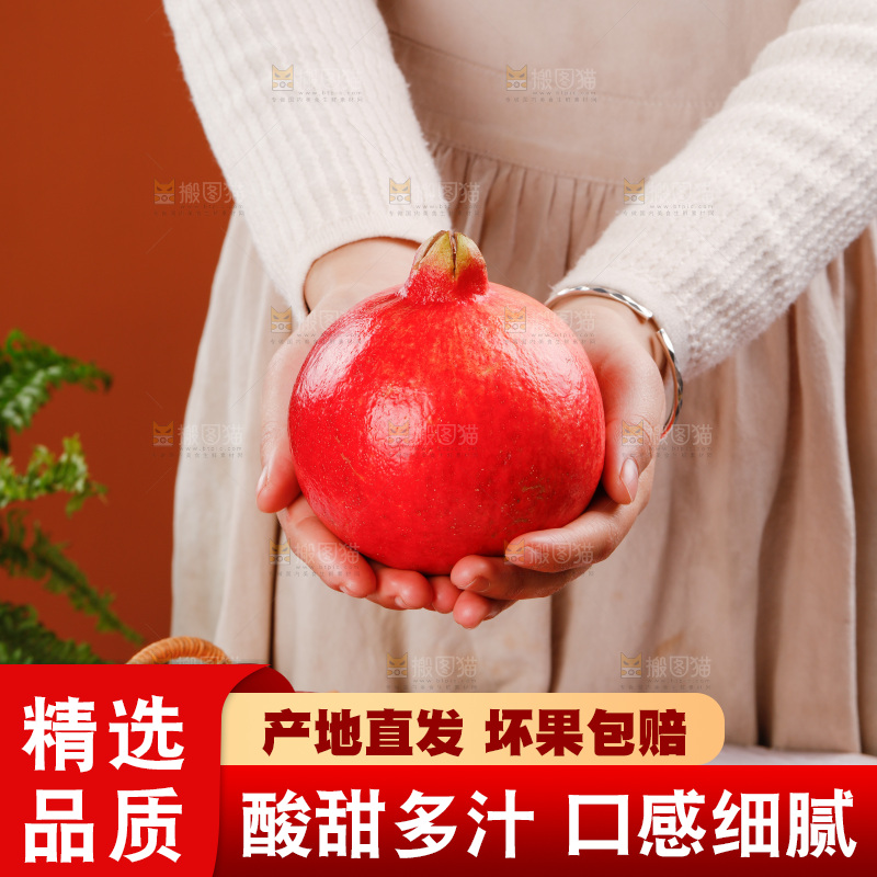 浅底上的黒籽酸石榴