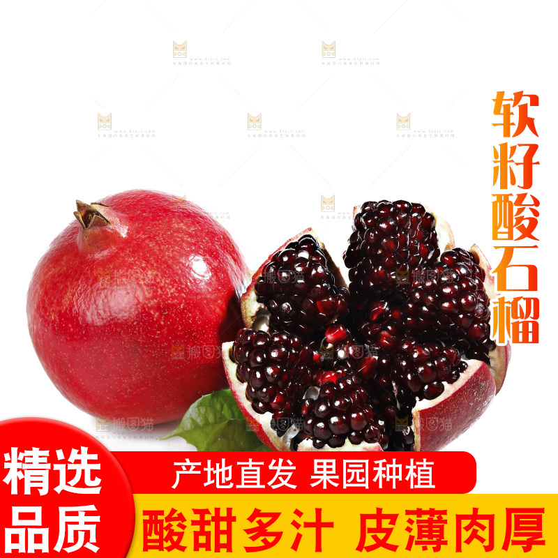 白底上的黒籽酸石榴