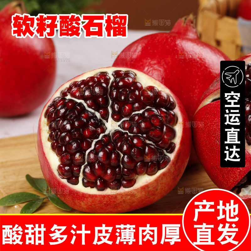 浅底上的黒籽酸石榴