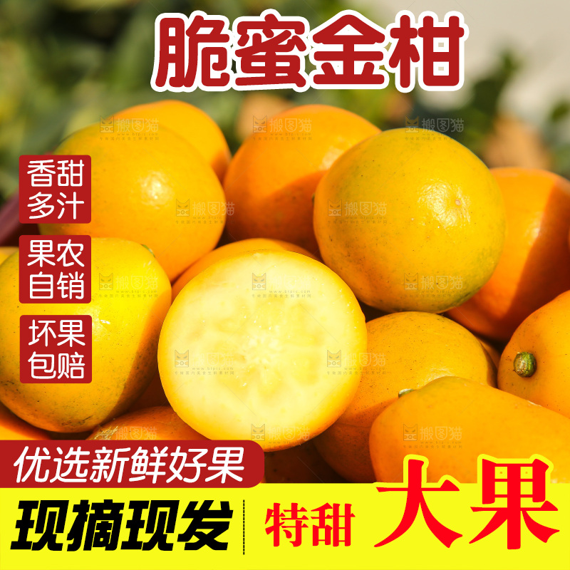 手里拿着脆蜜金柑
