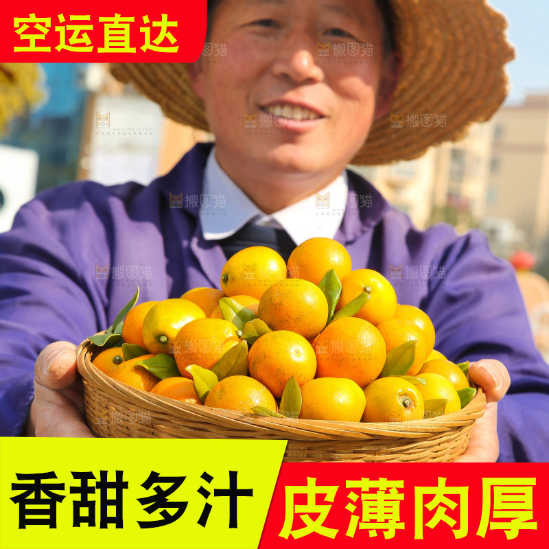 手里拿着脆蜜金柑