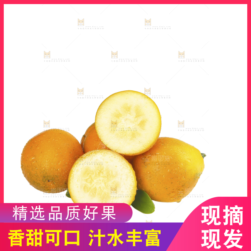 白底上的金柑