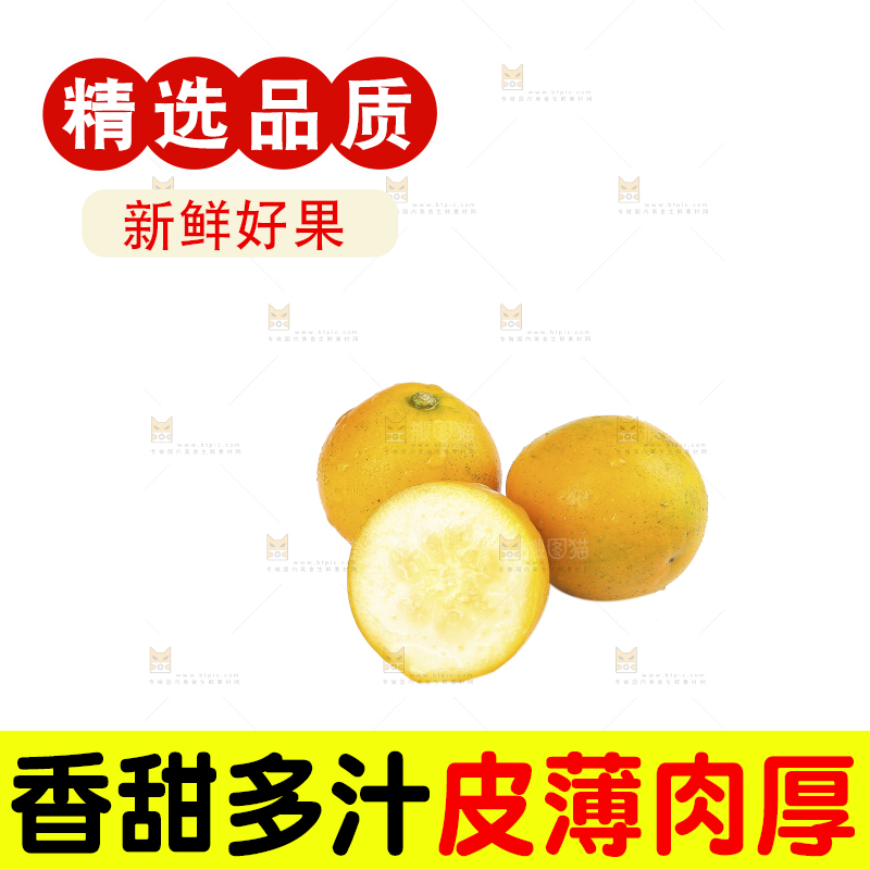 白底上的金柑