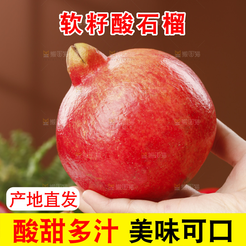 浅底上的黒籽酸石榴