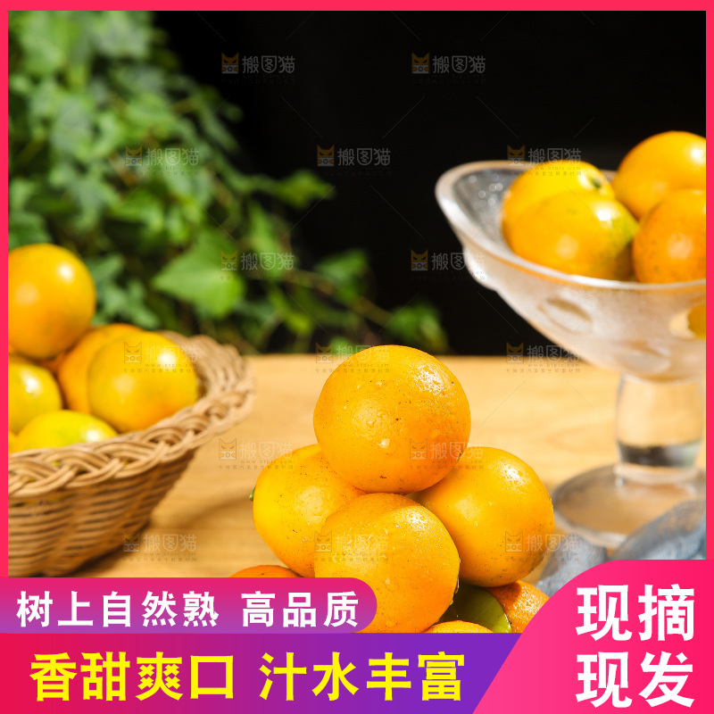 木底上的脆蜜金柑