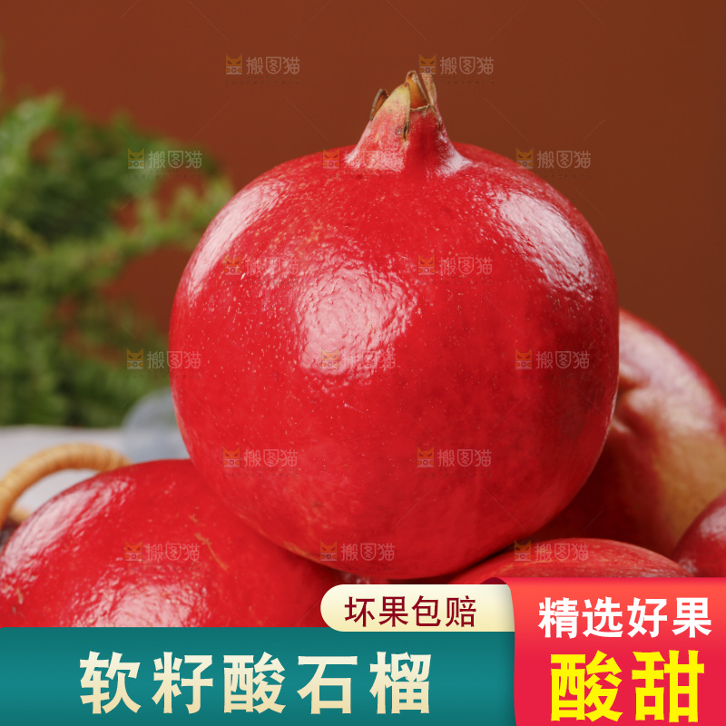 浅底上的黒籽酸石榴