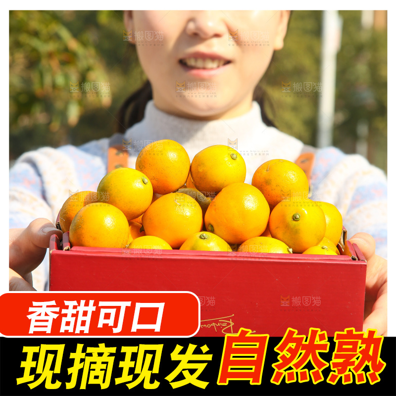 手里拿着脆蜜金柑