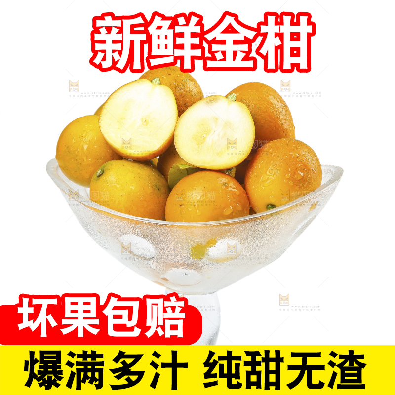 白底上的金柑
