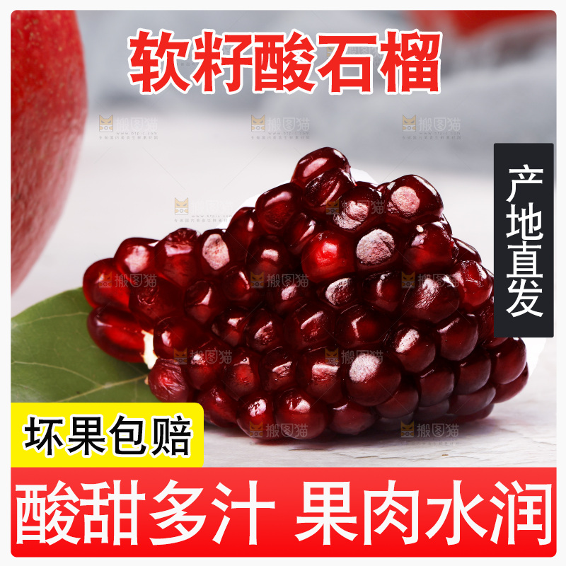 浅底上的黒籽酸石榴