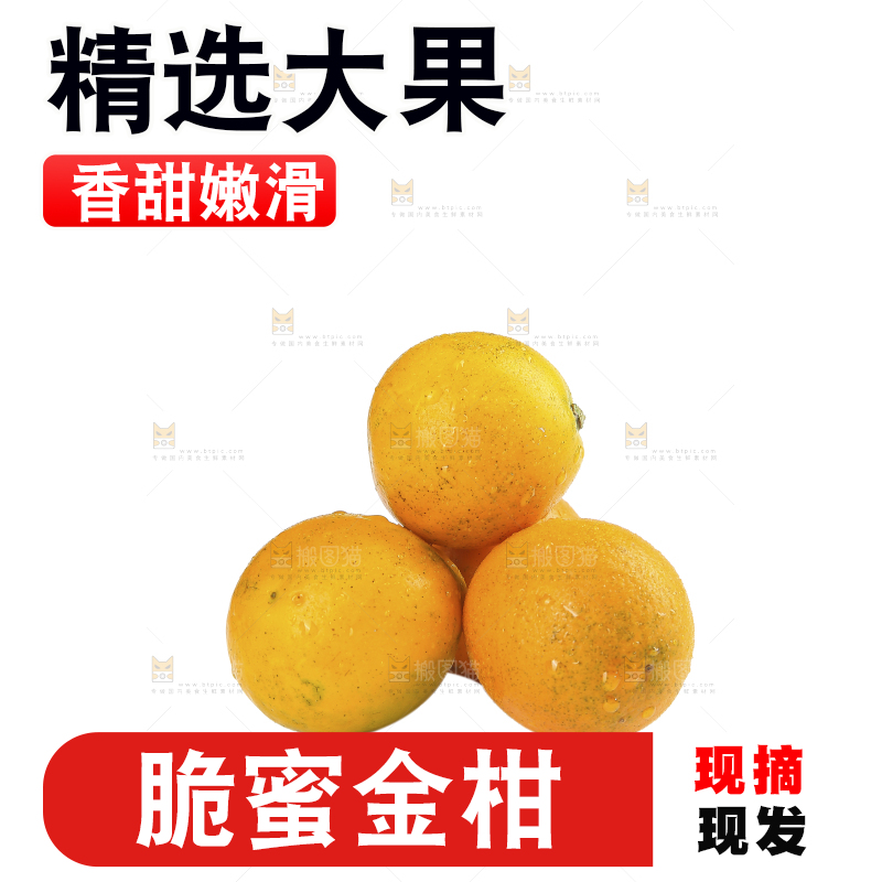 白底上的金柑