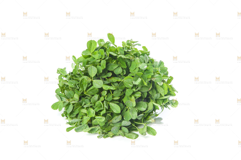 白底上的苜蓿菜