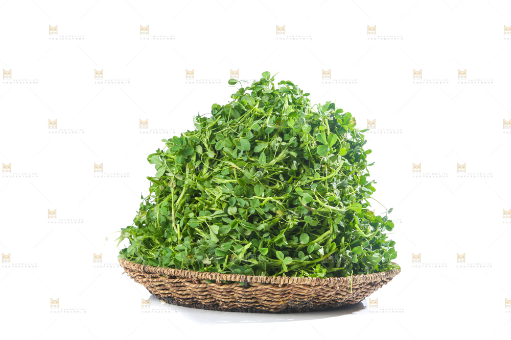 白底上的苜蓿菜