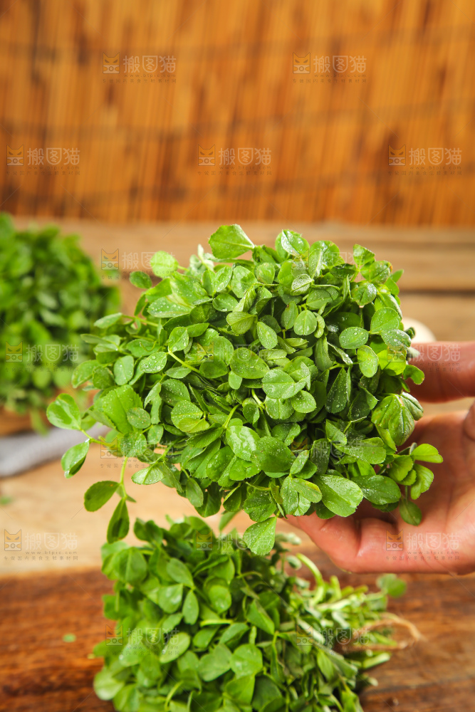 深底上的苜蓿菜
