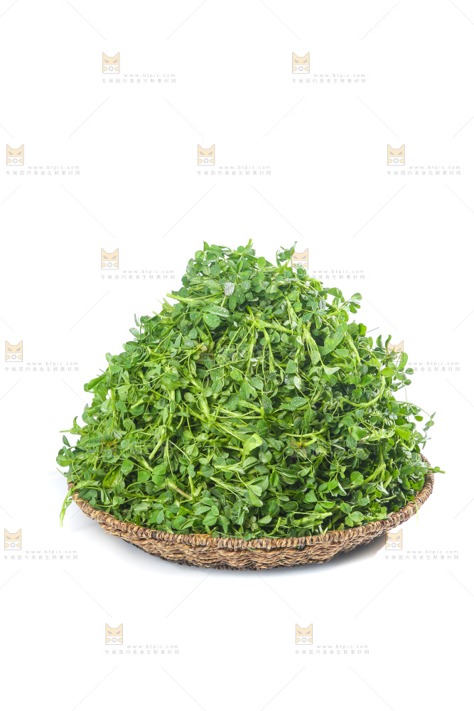 白底上的苜蓿菜