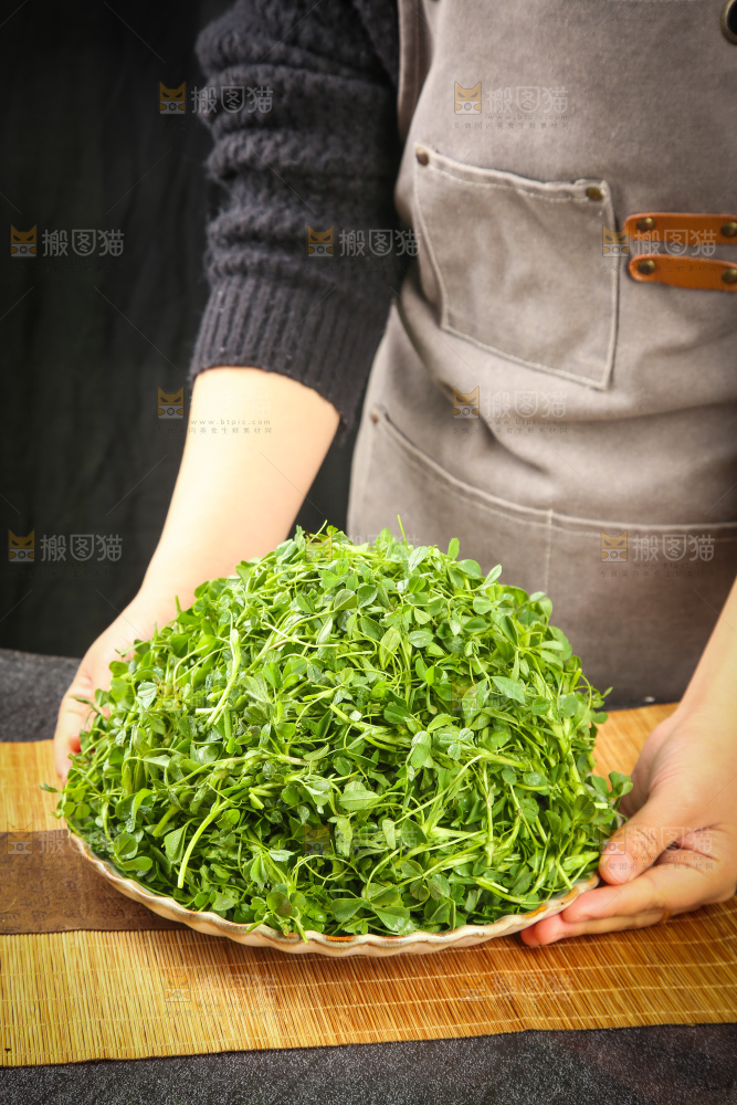 深底上的苜蓿菜
