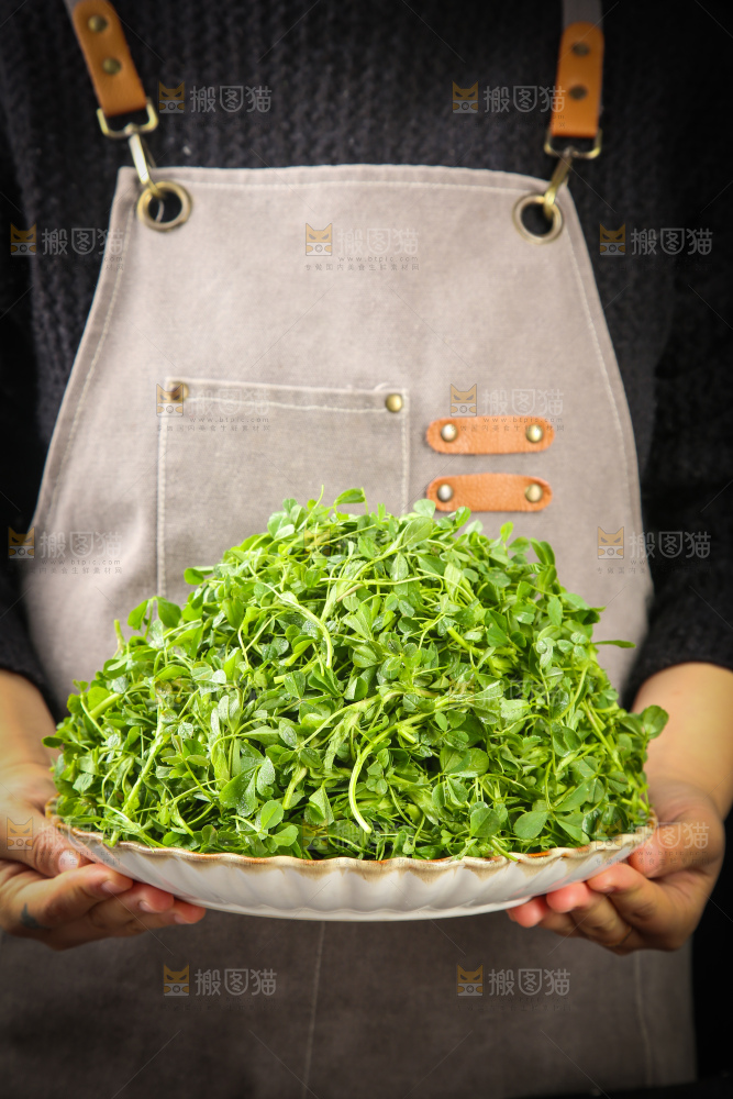 深底上的苜蓿菜