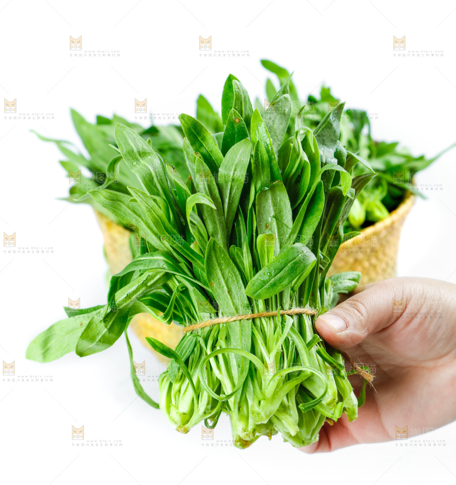白底上的面条菜