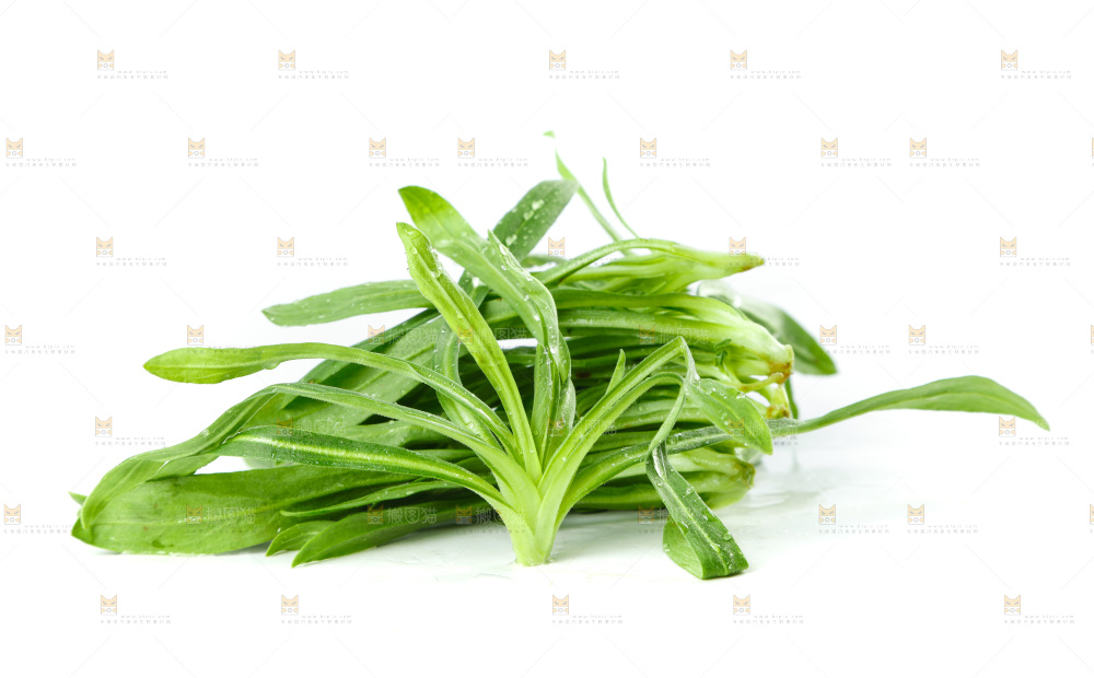 白底上的面条菜