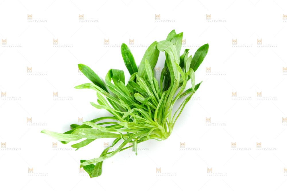 白底上的面条菜