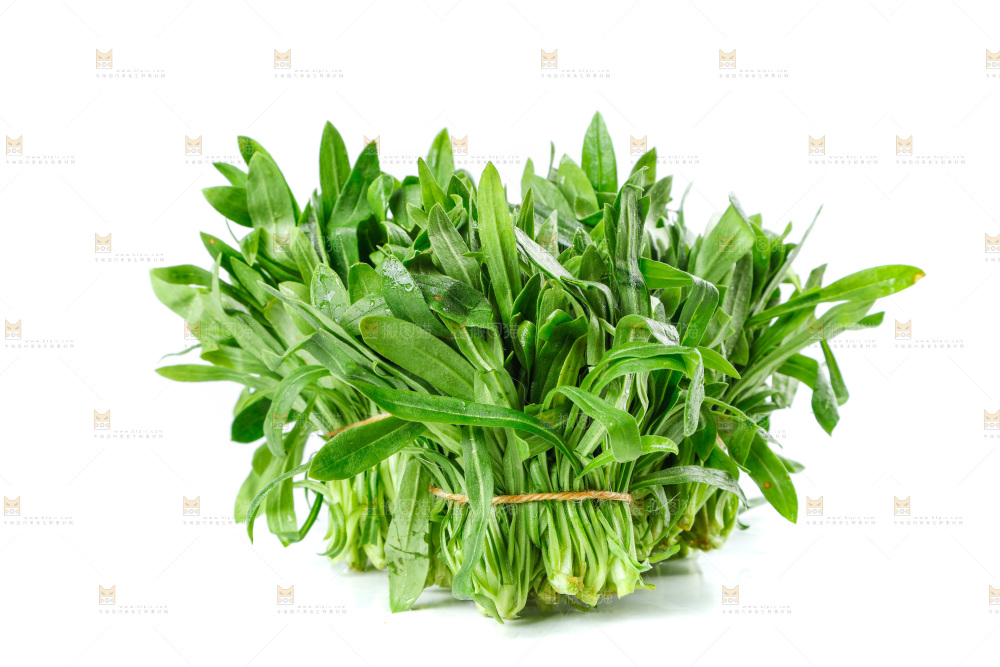 白底上的面条菜