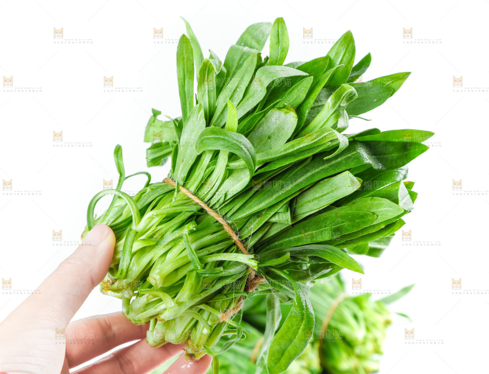 白底上的面条菜
