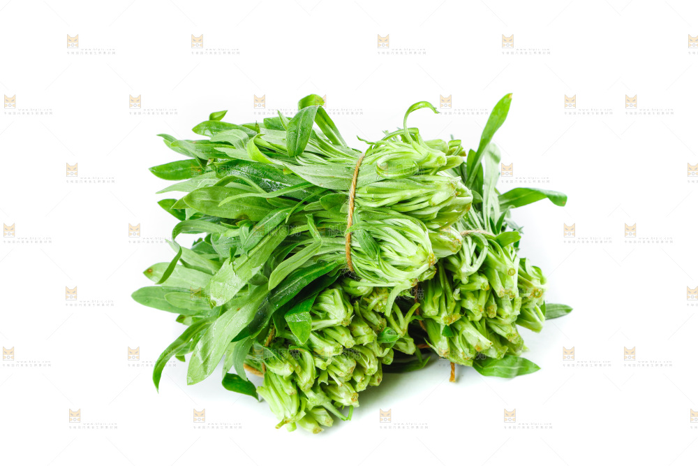 白底上的面条菜