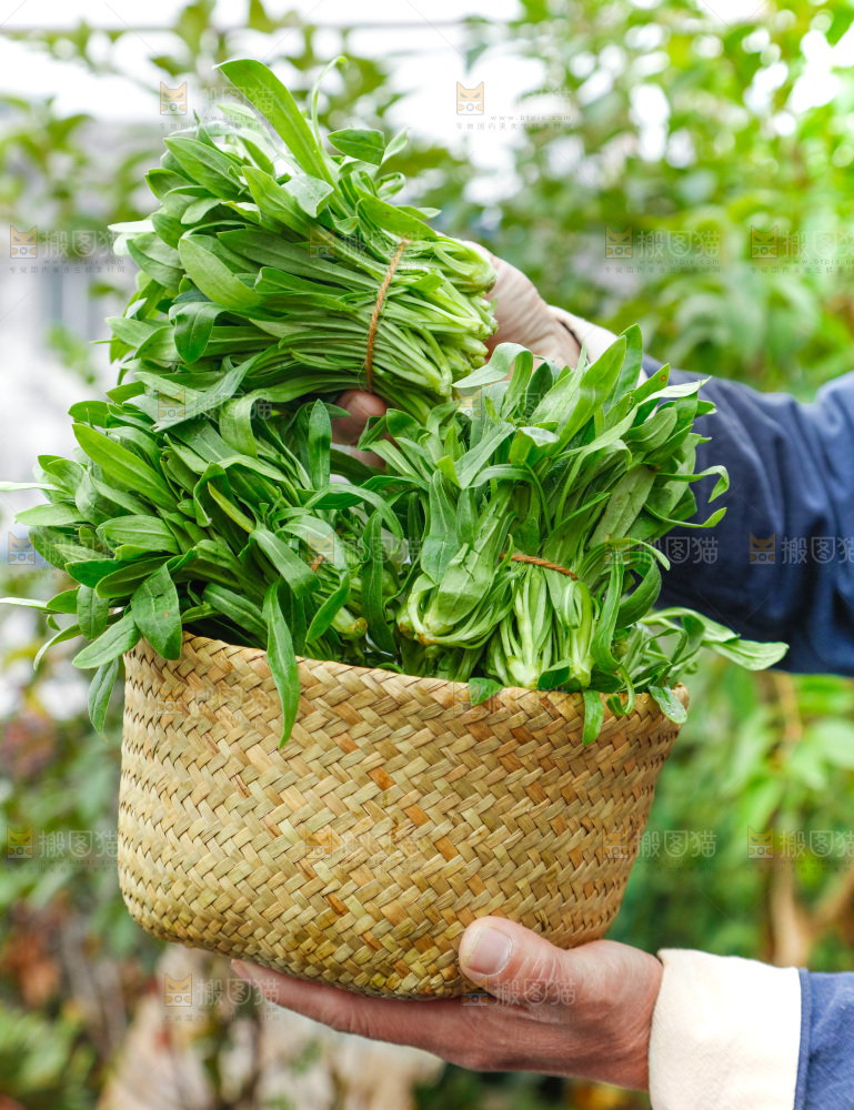 手里拿着面条菜