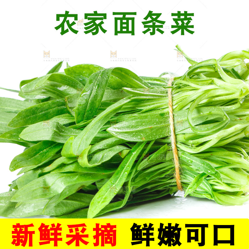 白底上的面条菜