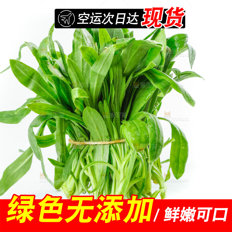 白底上的面条菜