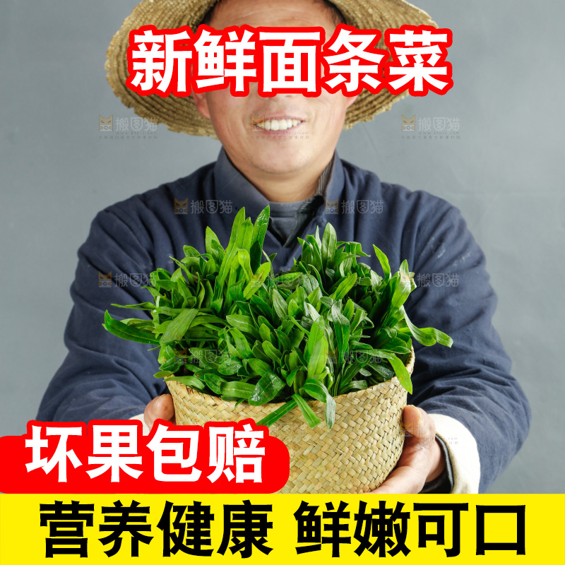 手里拿着面条菜
