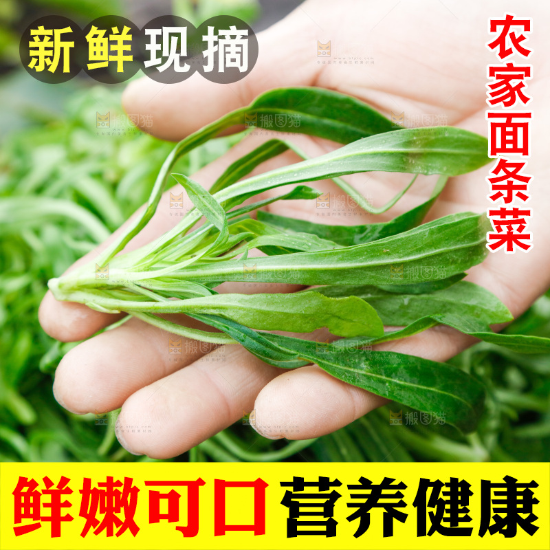 手里拿着面条菜