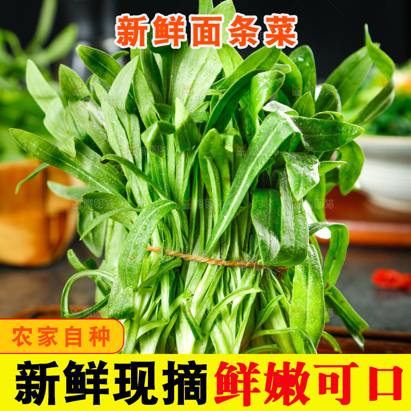 深底上的面条菜