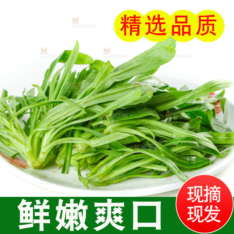 白底上的面条菜