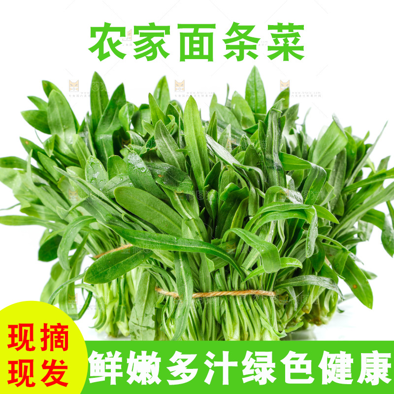 白底上的面条菜