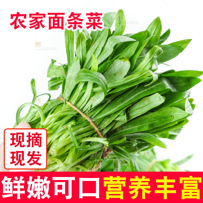 白底上的面条菜