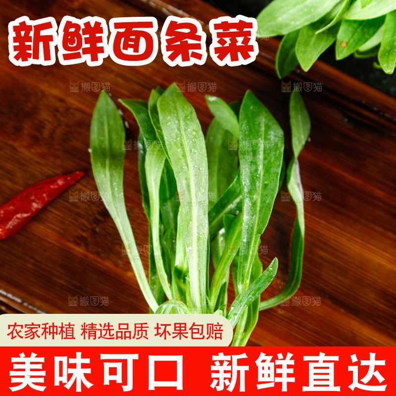 深底上的面条菜