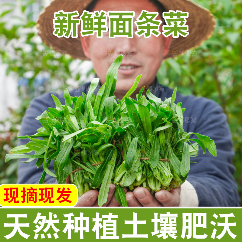 手里拿着面条菜