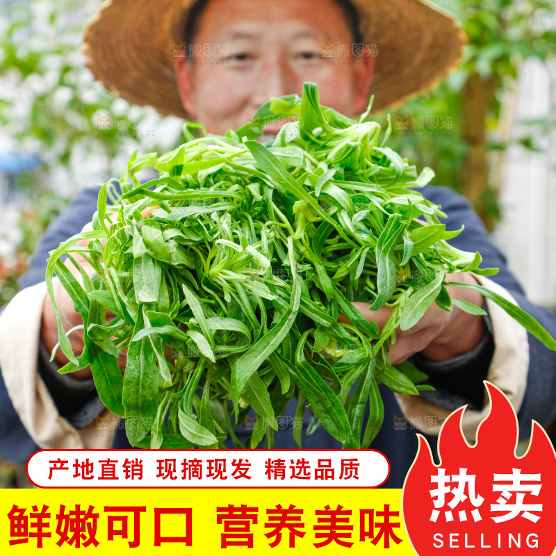 手里拿着面条菜