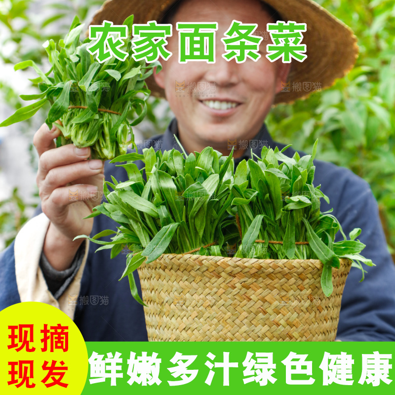手里拿着面条菜