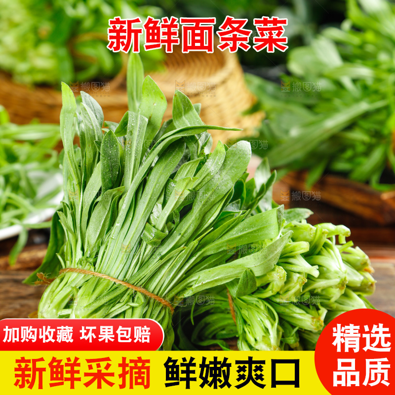 深底上的面条菜