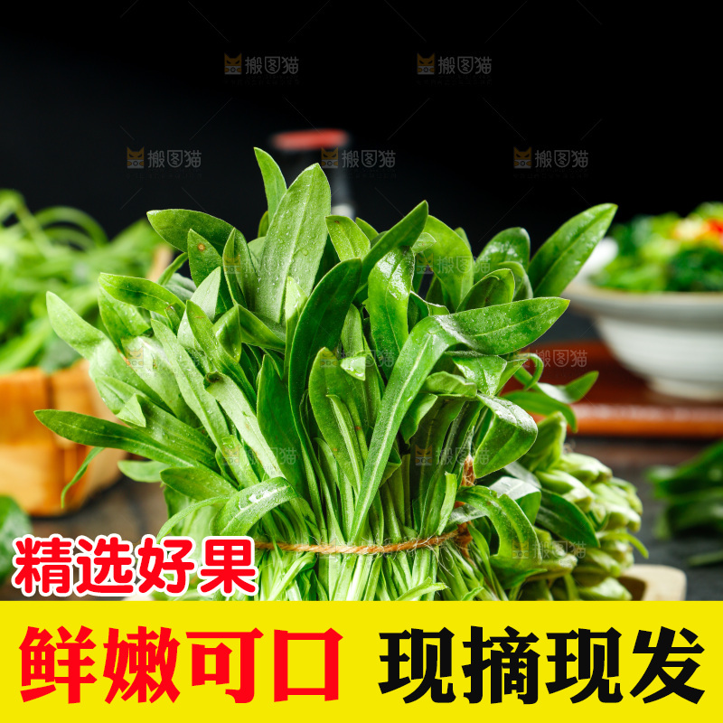 深底上的面条菜