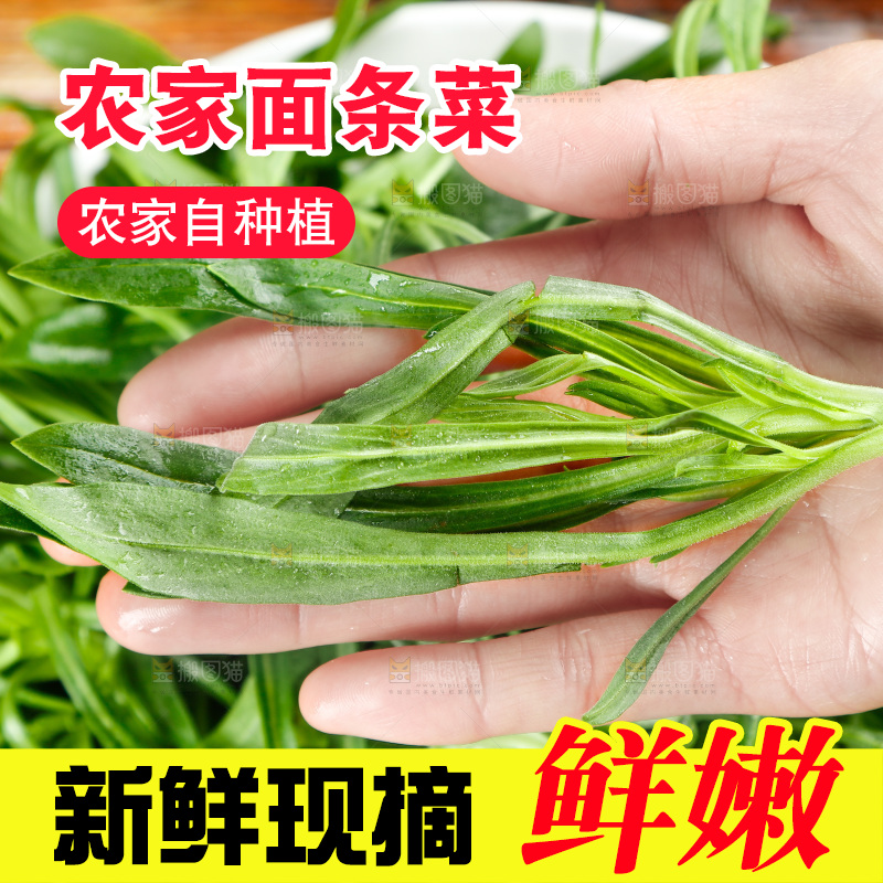 深底上的面条菜