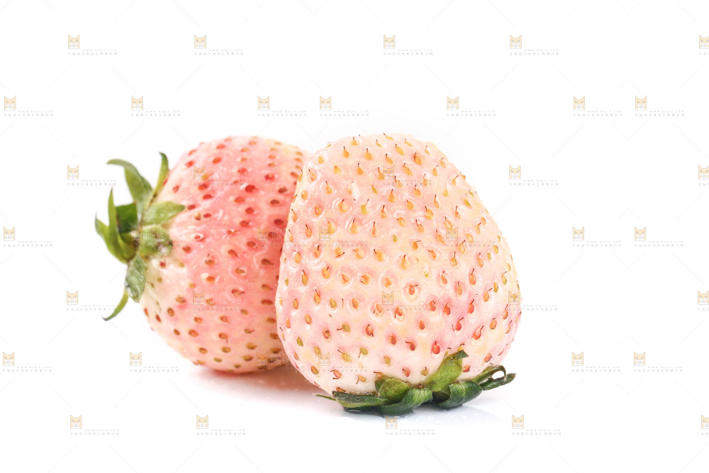 白底上的淡雪草莓
